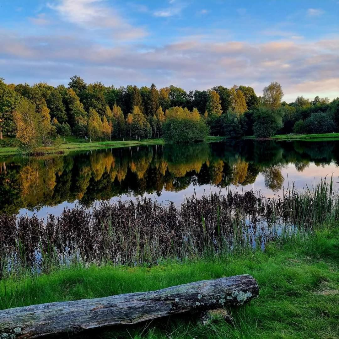 Tallhojden Hotel & Cottage Lodge Simlångsdalen Exteriér fotografie